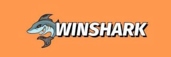 Winshark Kontoauszug mit Buchungen in CHF